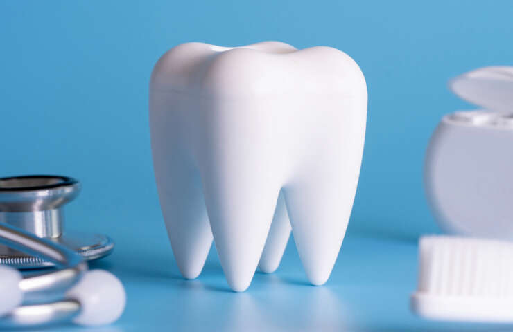 Bone grafts